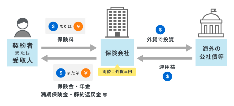 外貨建て保険のイメージ
