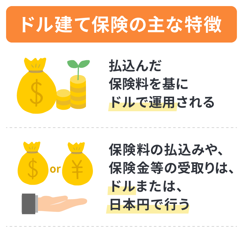 ドル建て保険の主な特徴