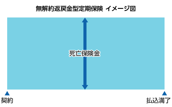 無解約返戻金型定期保険 イメージ図