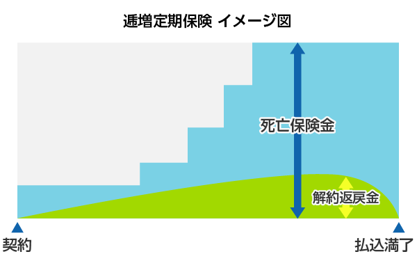 逓増定期保険 イメージ図