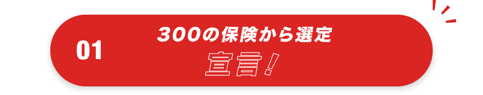 01 300の保険から選定宣言！