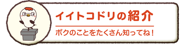 イイトコドリの紹介