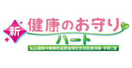 新・健康のお守り　ハート