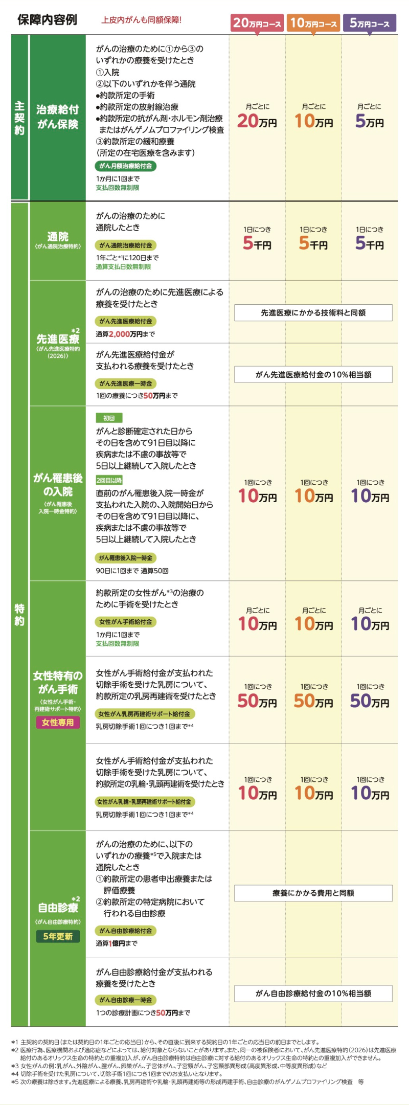保障内容例